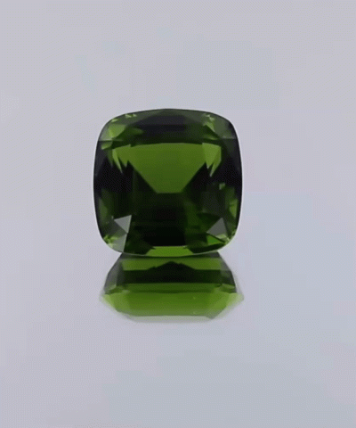 GEM.PE0013